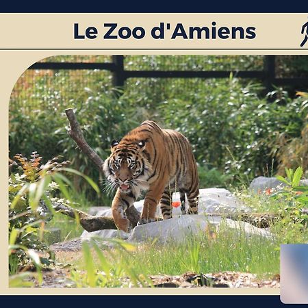 Le Carre D'Or - Appartement Confort - Jardin Prive Amiens Dış mekan fotoğraf